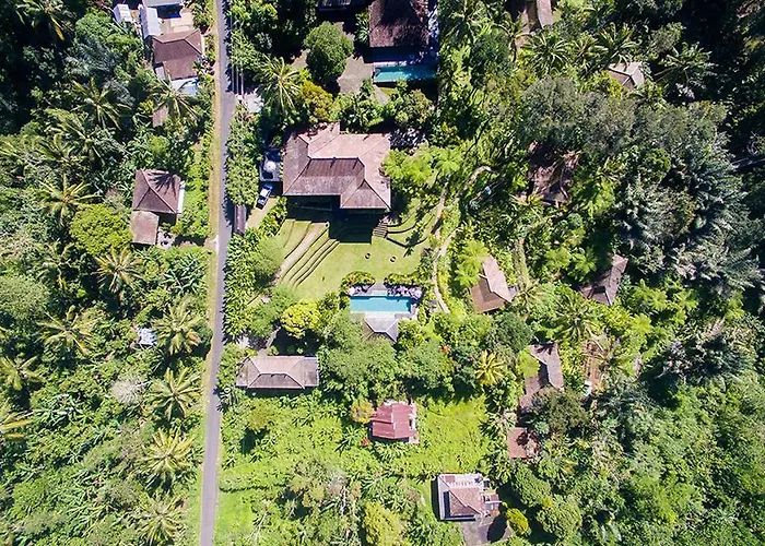 Alassari Plantation