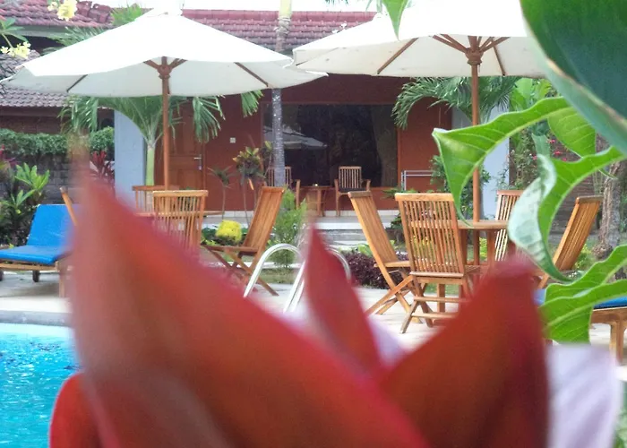Hotel My Lovina
