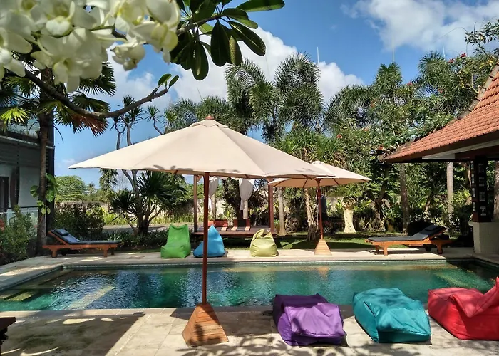 Premier Surf Camp