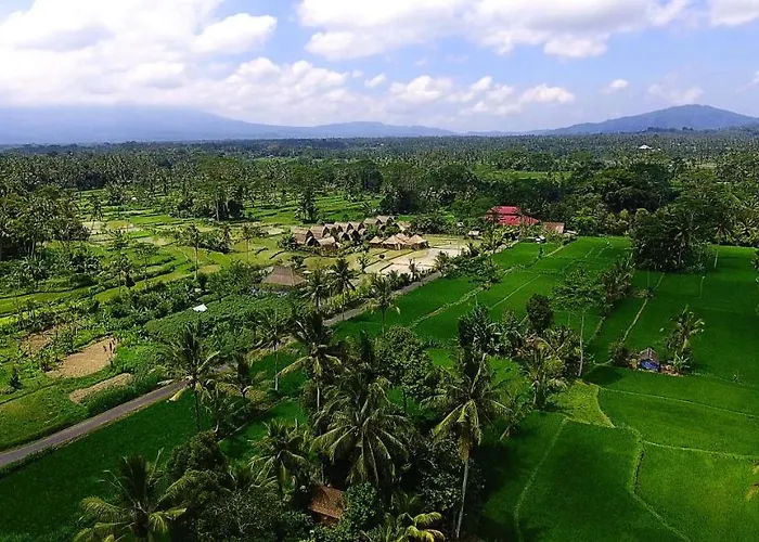 De Klumpu Bali Eco Tradi Stay