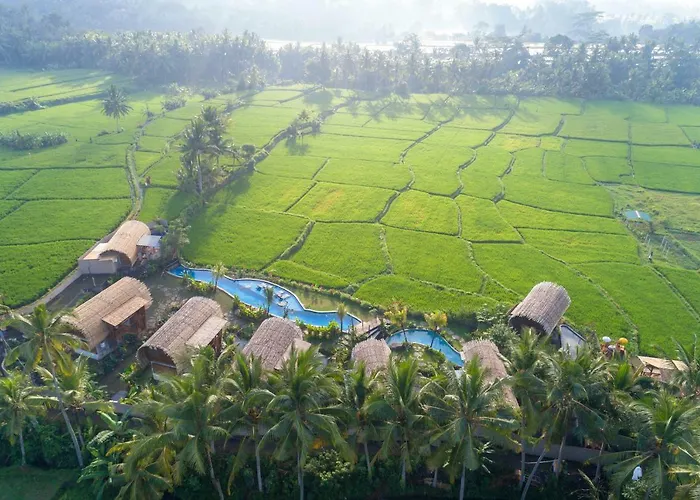 Beehouse Dijiwa Ubud