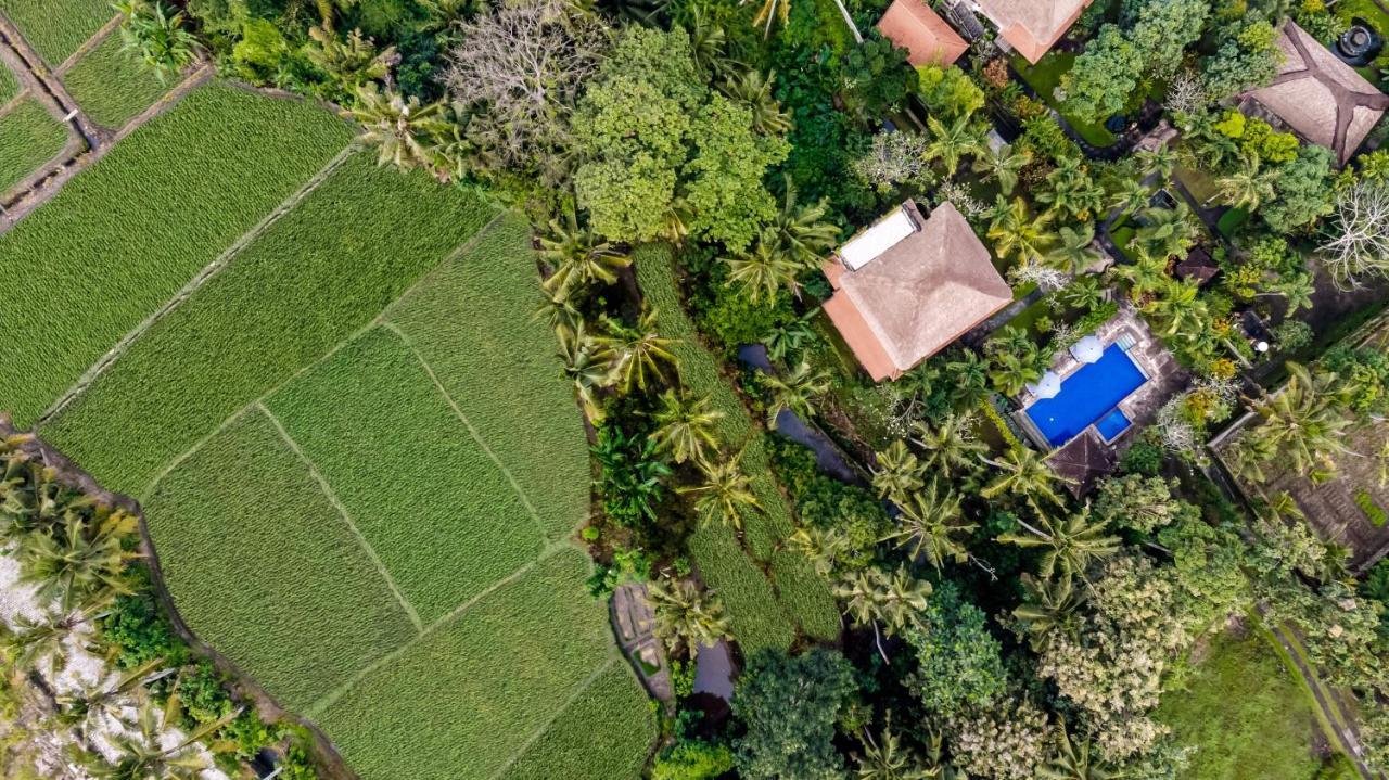 Alam Shanti Resort Ubud (Bali)