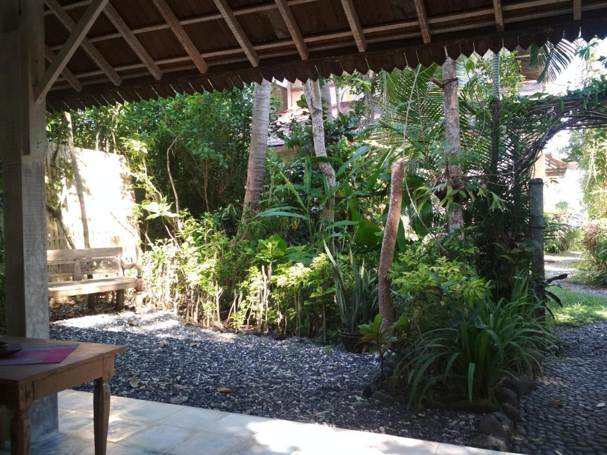 Pisang 3* Candi Dasa (Bali)
