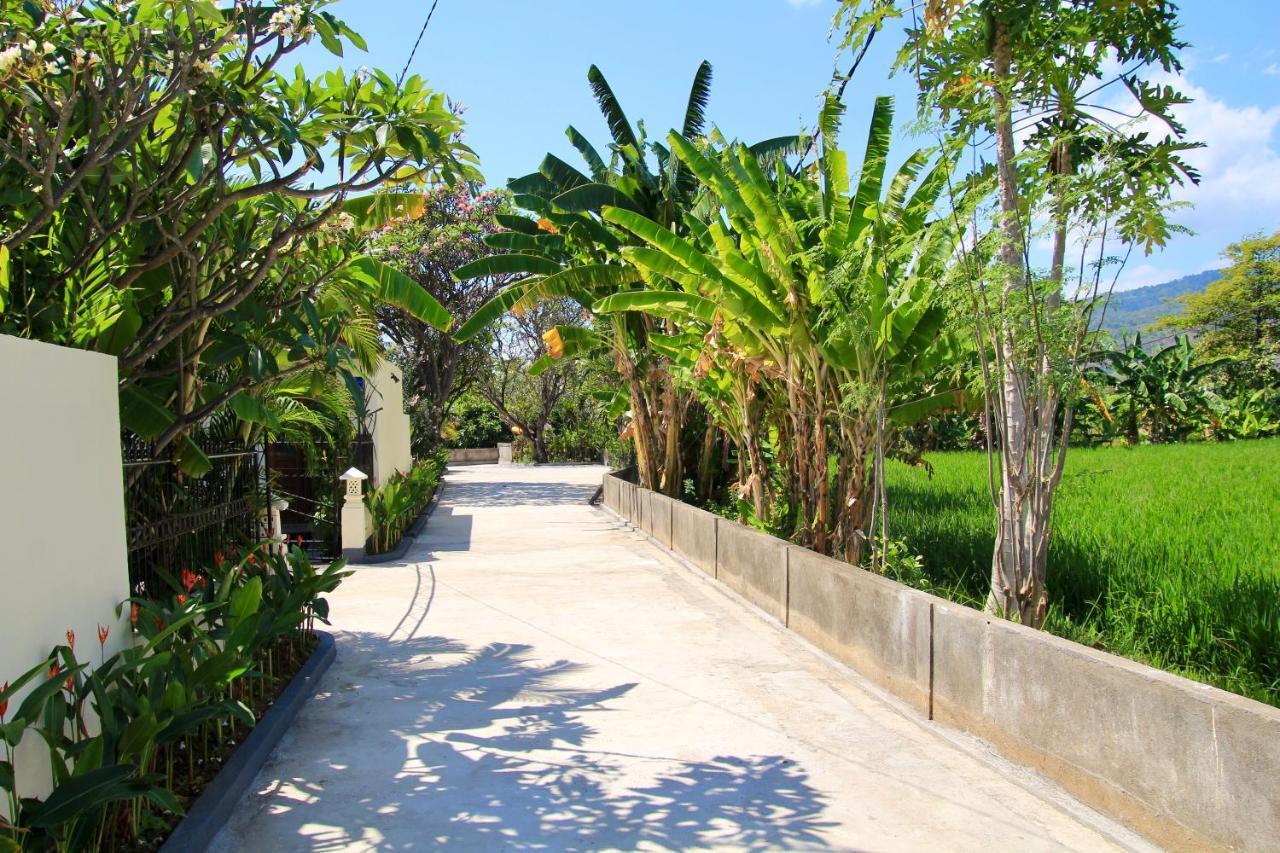 Villa Surgawi Lovina (Bali)