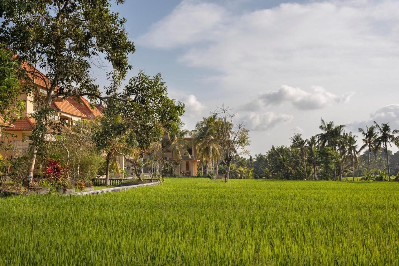 Field And Restaurant Hotel