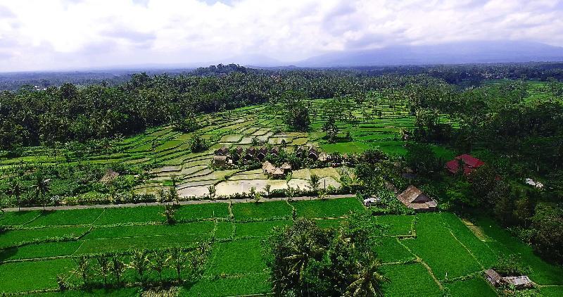 Resort De Klumpu Bali Eco Tradi 4*