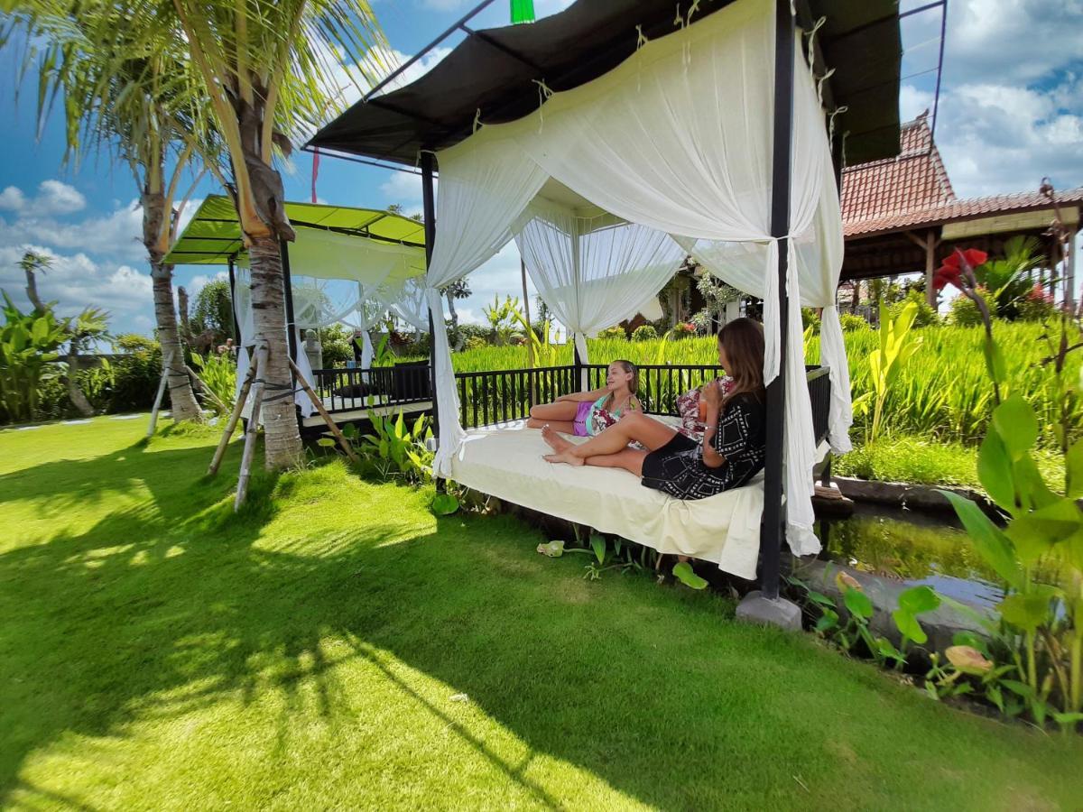 Wisma tamu Alisha Pererenan Canggu (Bali)