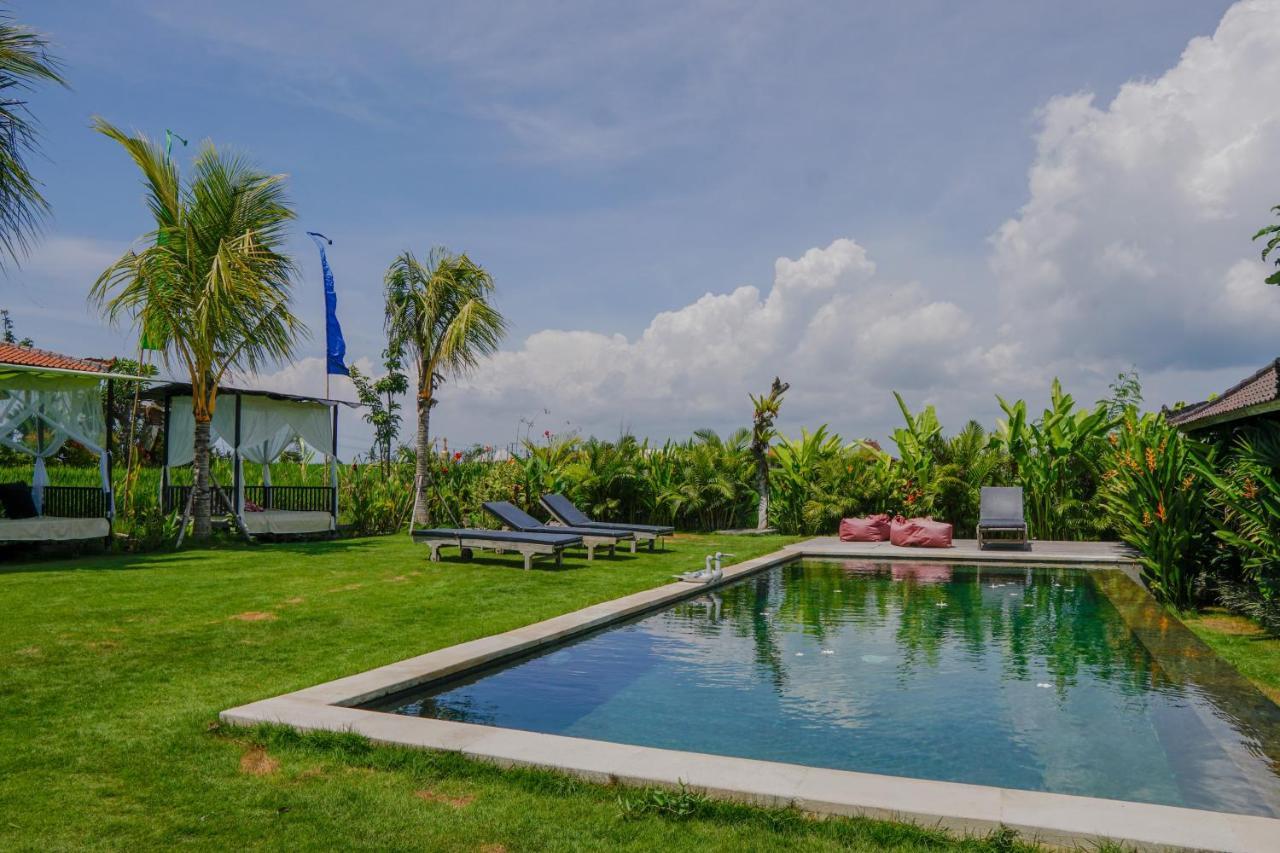 Alisha Pererenan Wisma tamu Canggu (Bali)