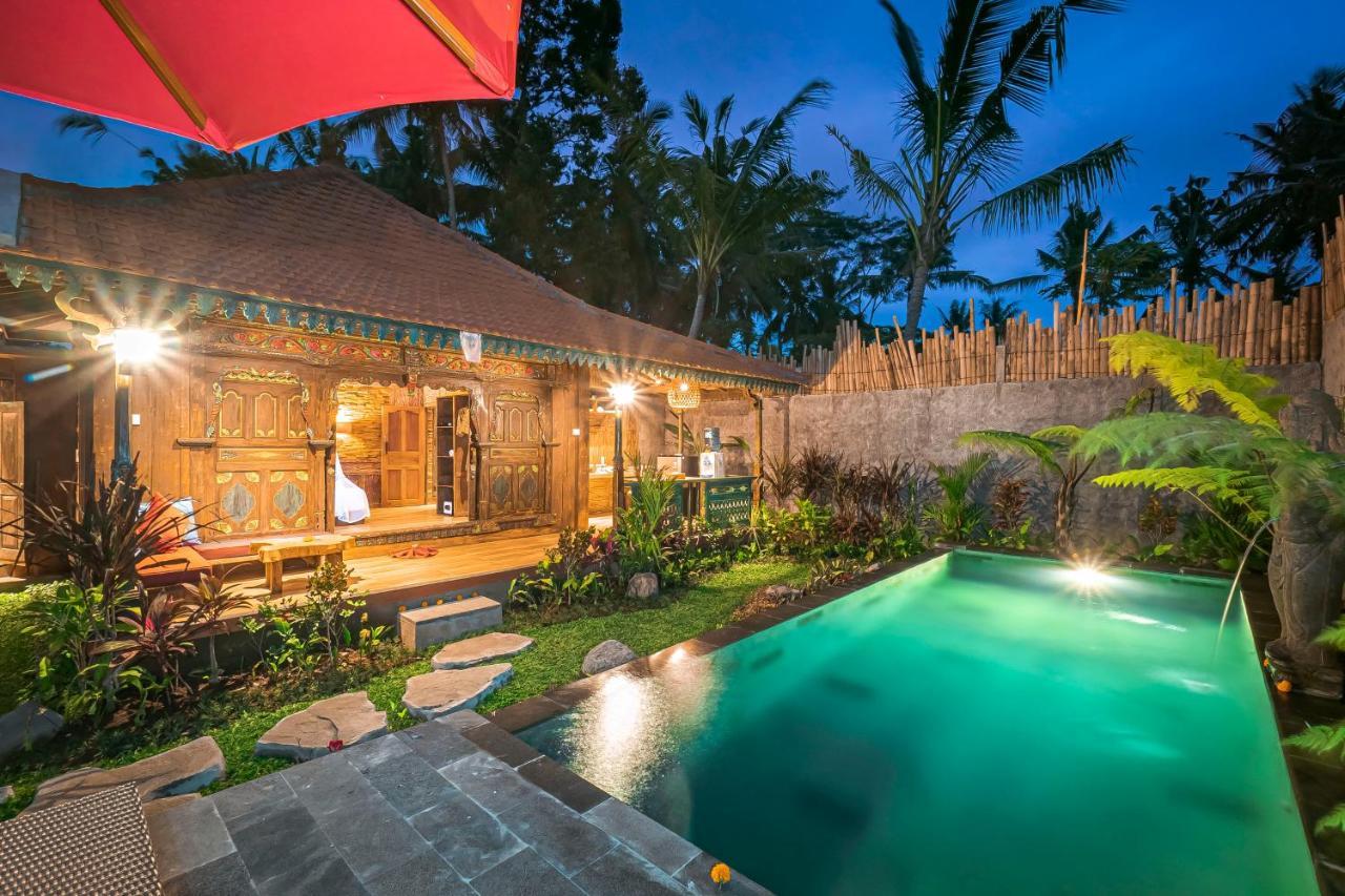 The Forest Villa