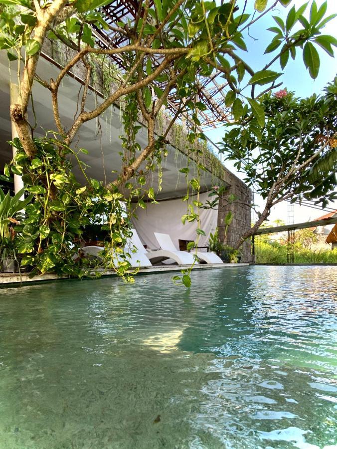 The Hide At (adults Only) *