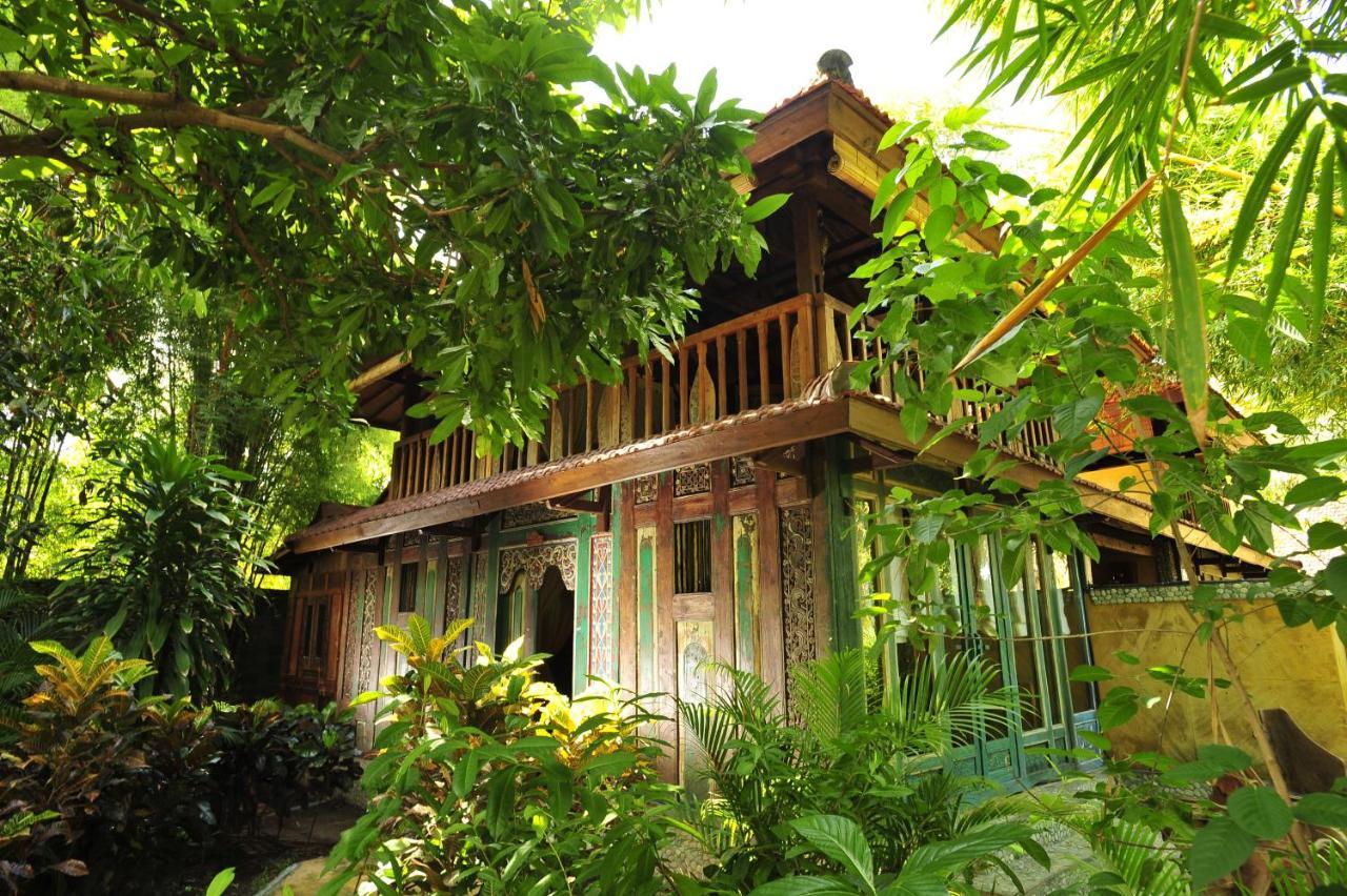 Sari & Holiday park Pemuteran (Bali)