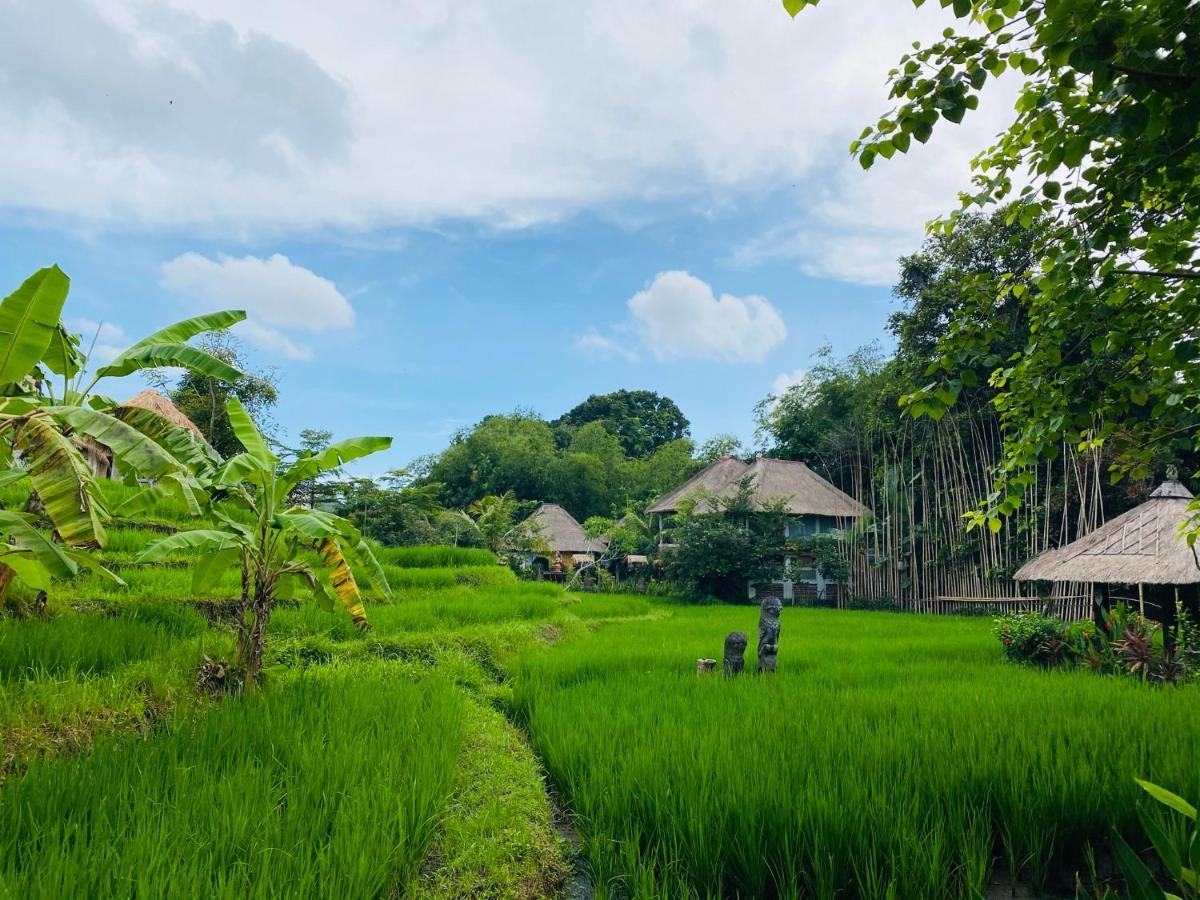Resort Kts Balinese 4*