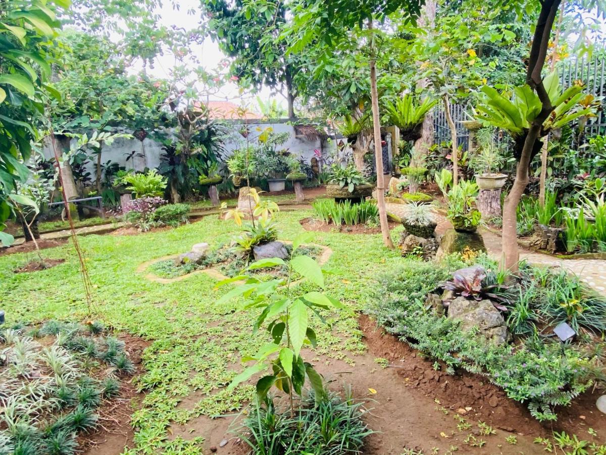 Kts Balinese 4* Canggu (Bali)