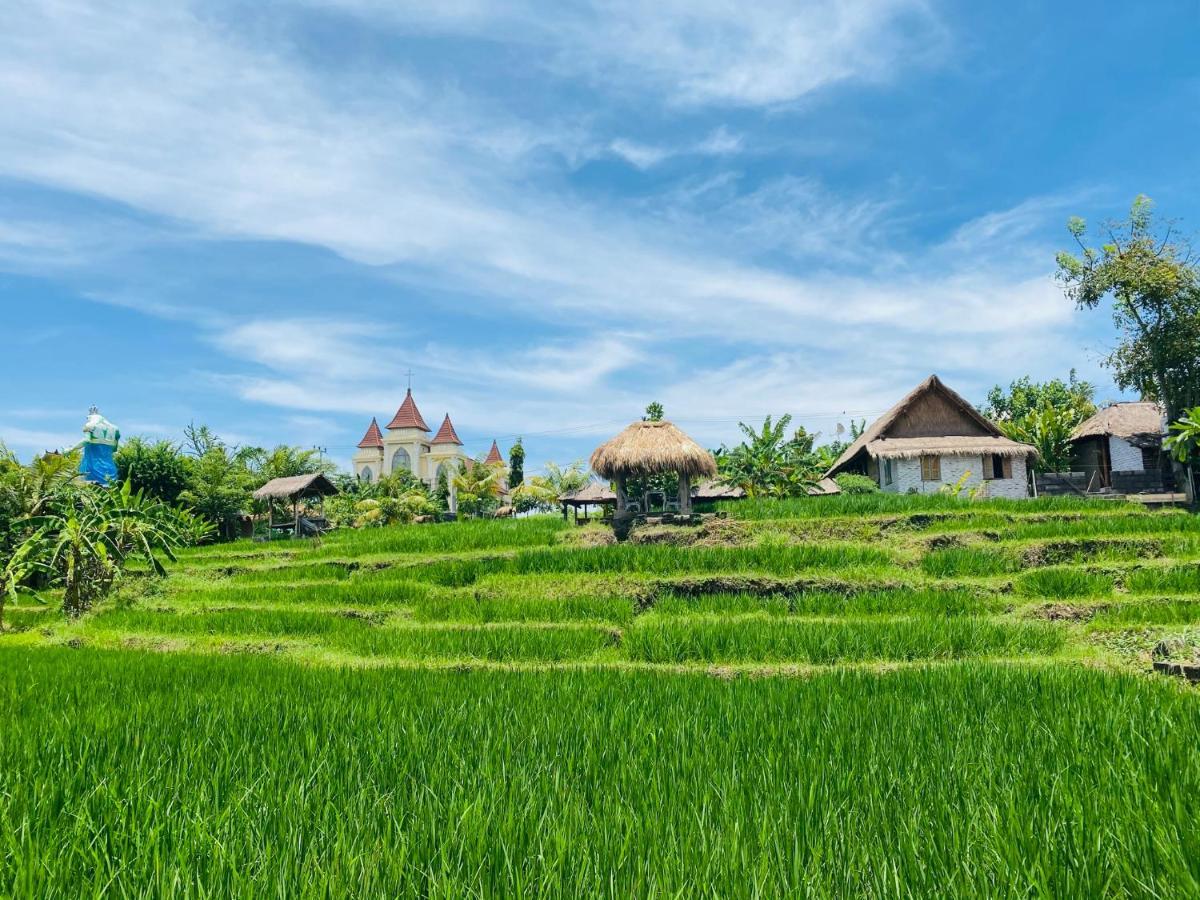 Kts Balinese