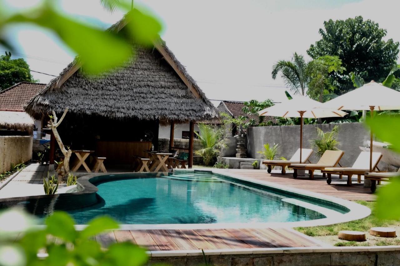 Tentacle Bali 2*