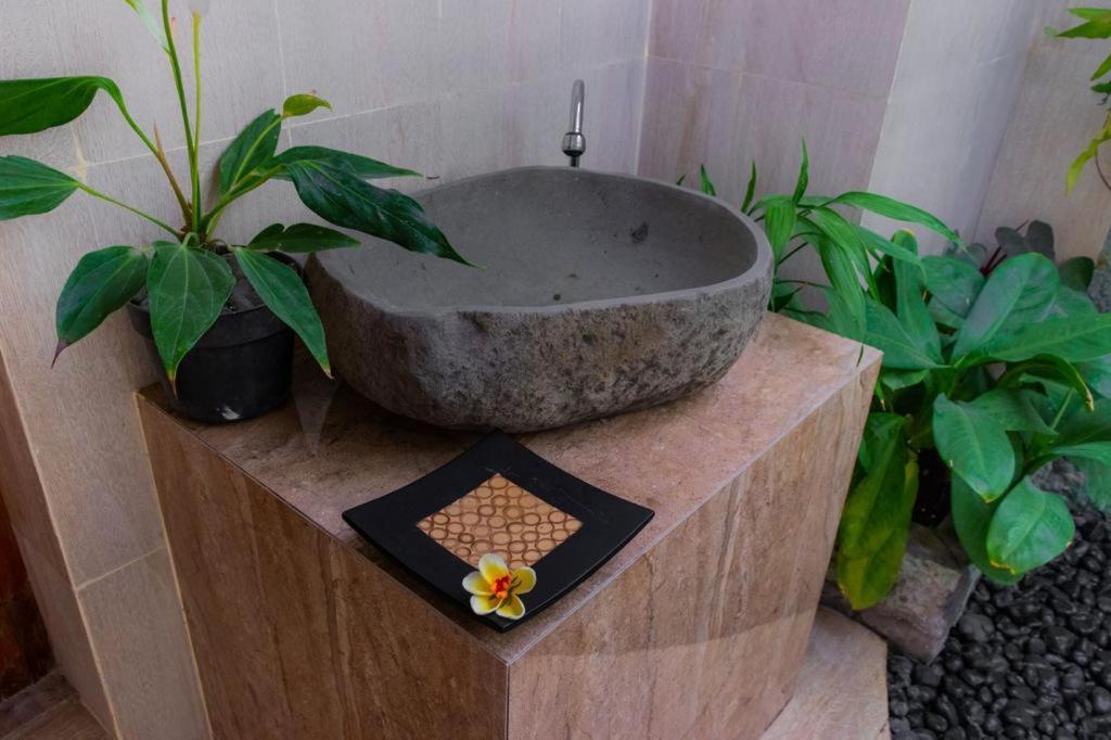 Sande 3* Munduk (Bali)
