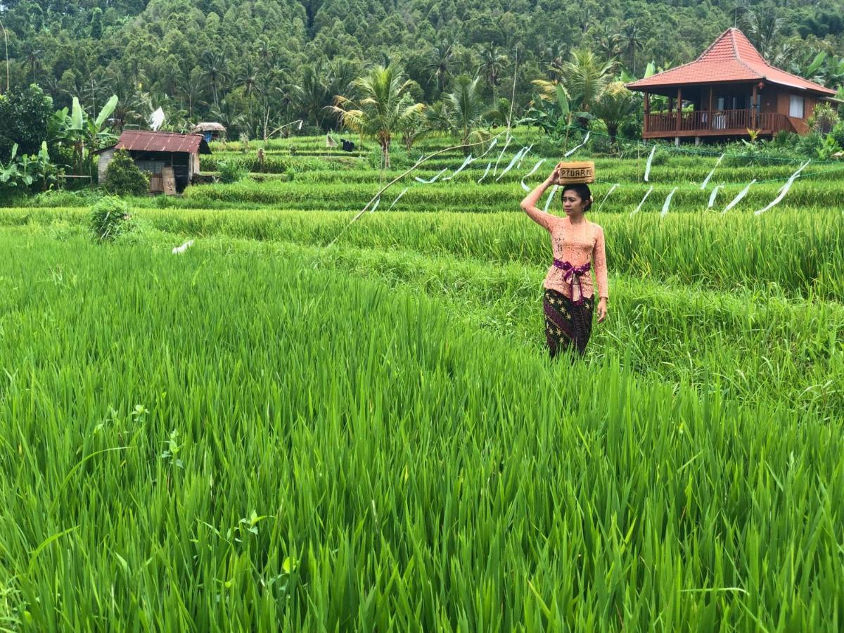 Sande Tempat Tidur & Sarapan Munduk (Bali)