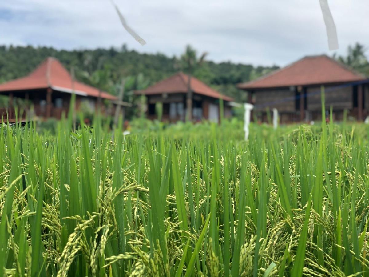 Tempat Tidur & Sarapan Sande 3*