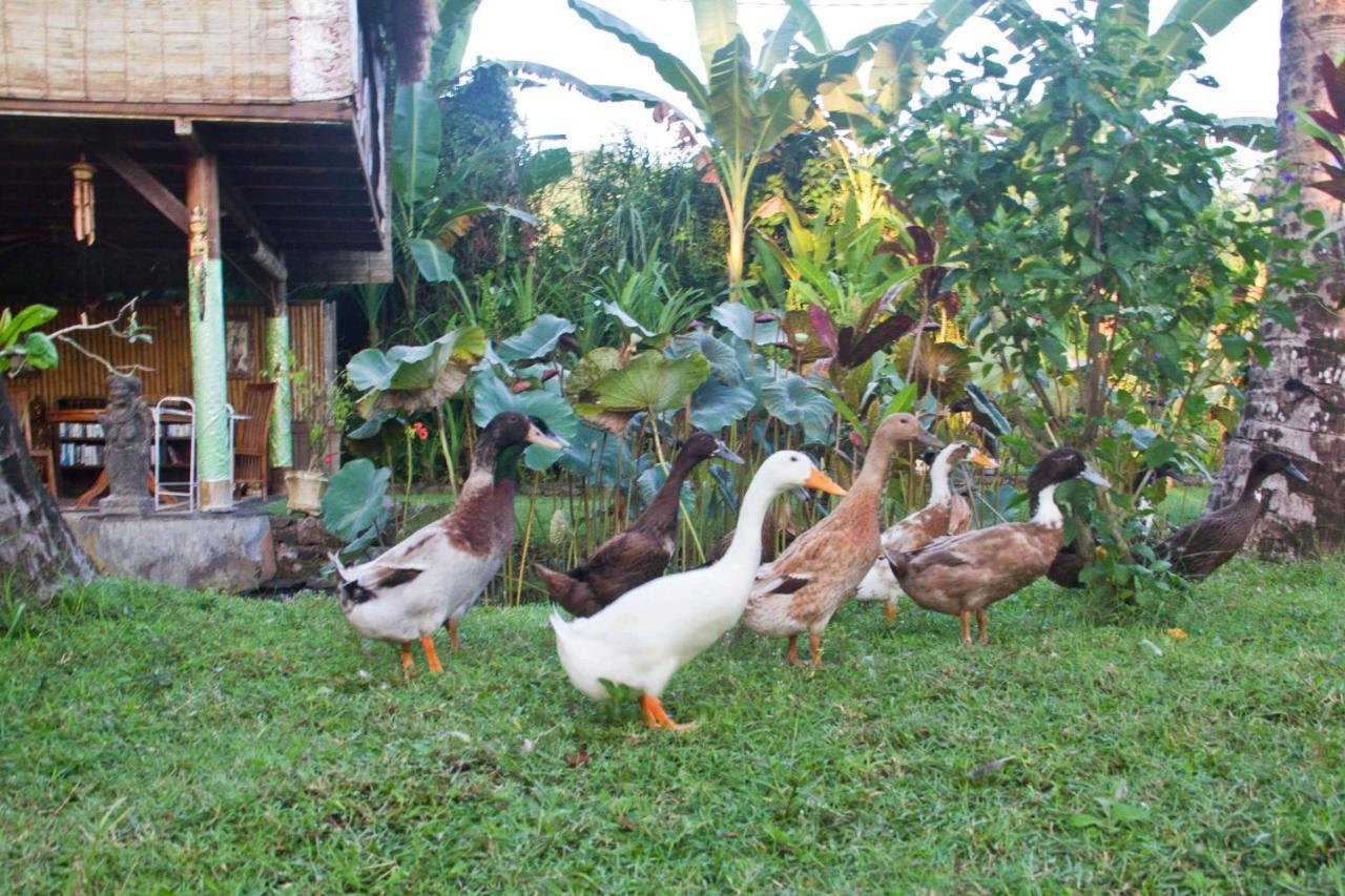 Lodge Dalem Surf Retreat *