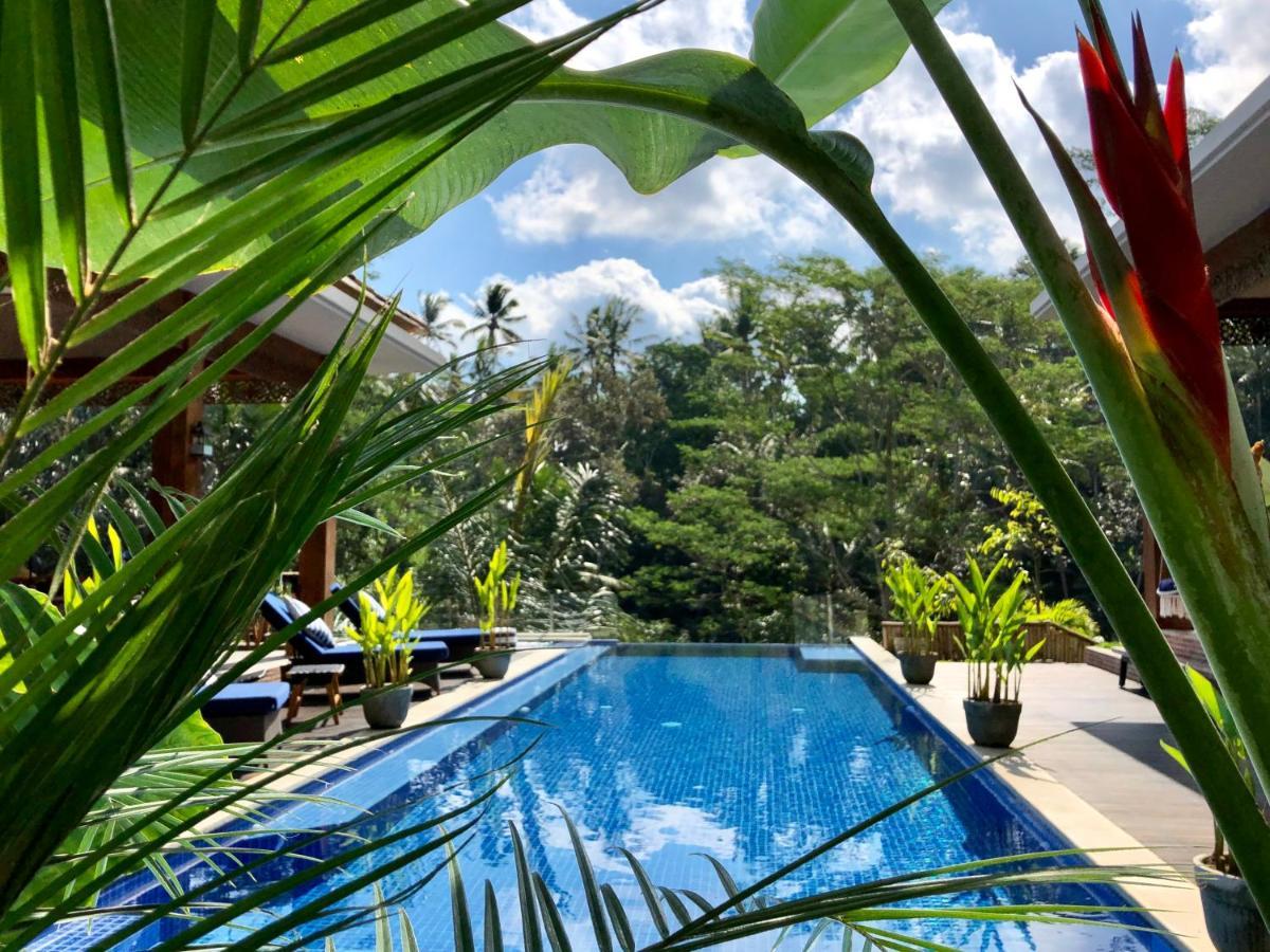 Puri Kasih Gottlieb Hotel Ubud (Bali)