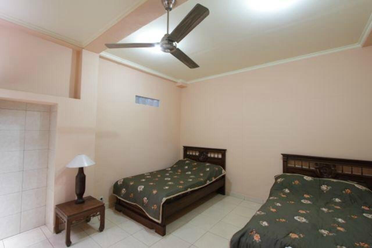 Citrus Tree - Arik Guest house *