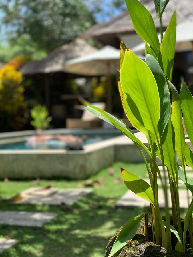 Villa Pusha *