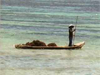 Tamarind Nusa Lembongan (Bali)