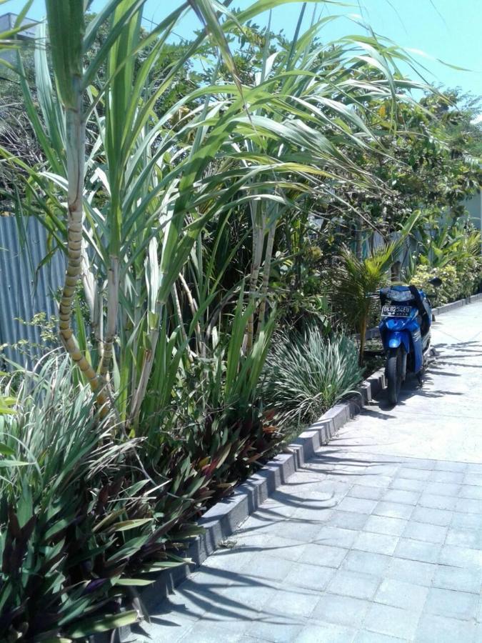 Homestay Kubu