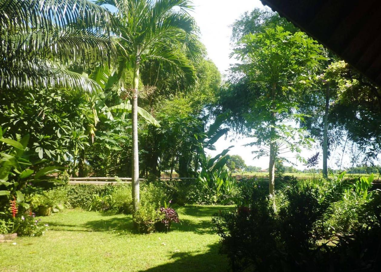 Saraswati House Lovina (Bali)