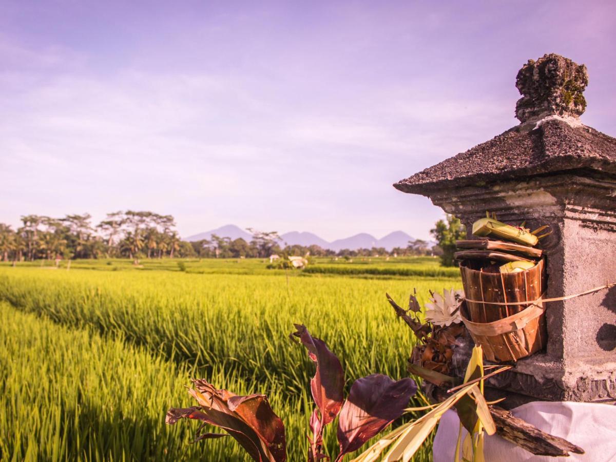Keliki Luxury 5* Ubud (Bali)