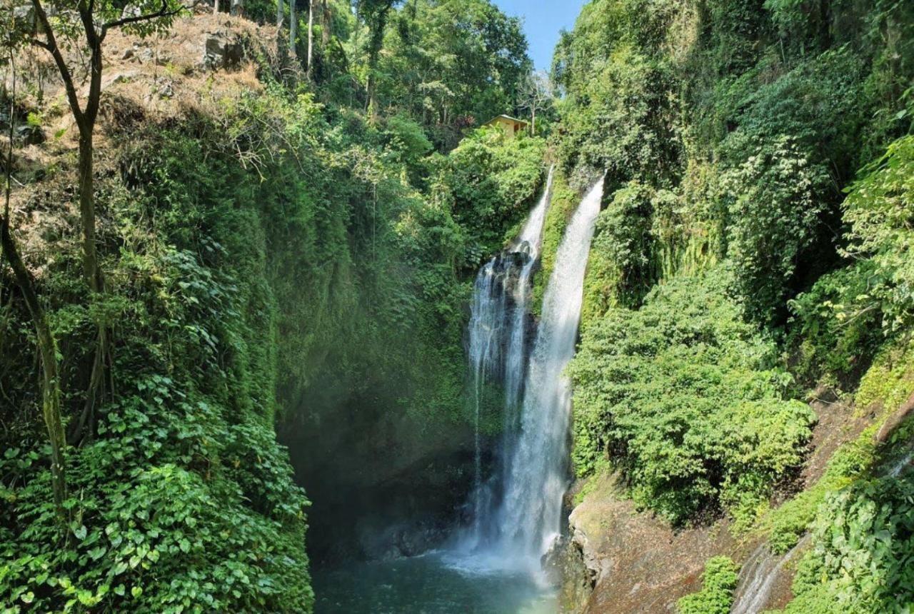 Madja