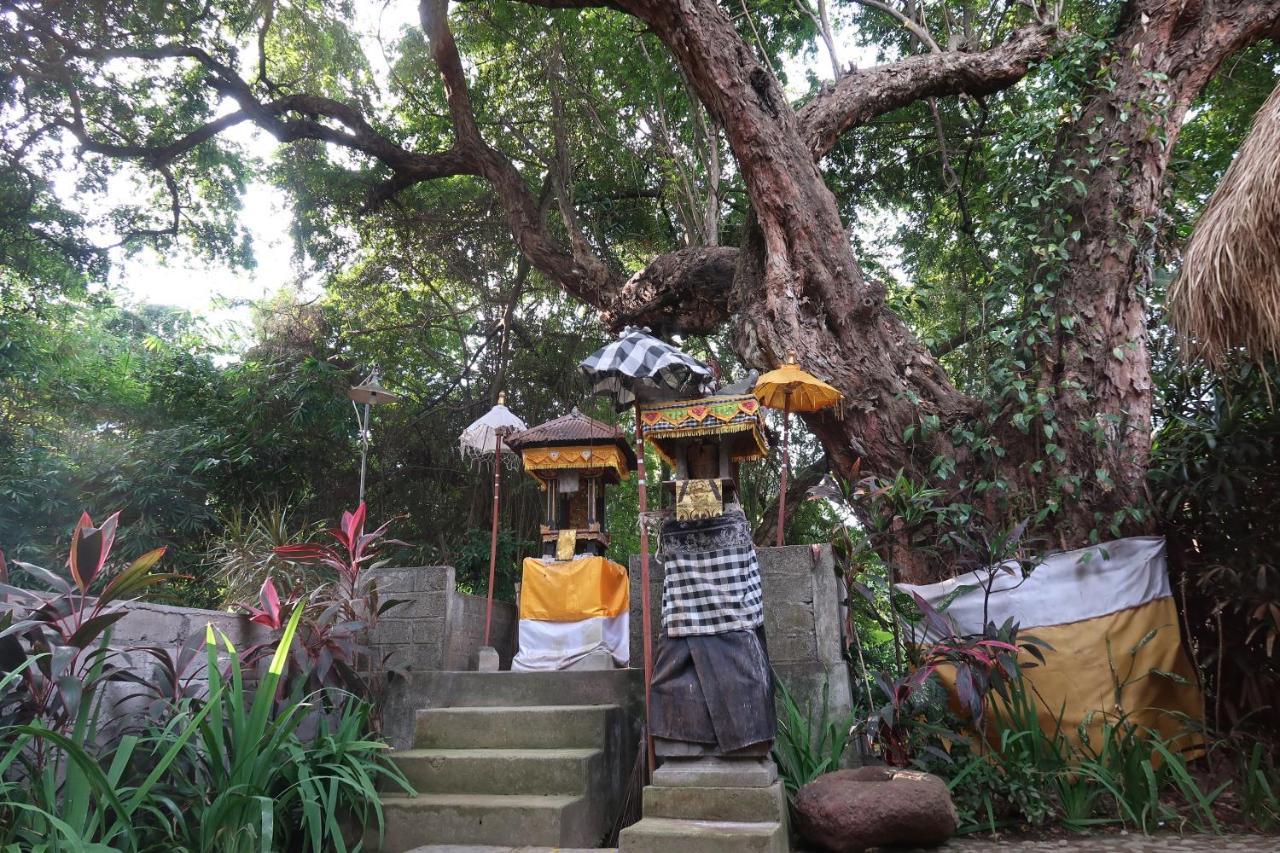 Villa Aditya Tejakula