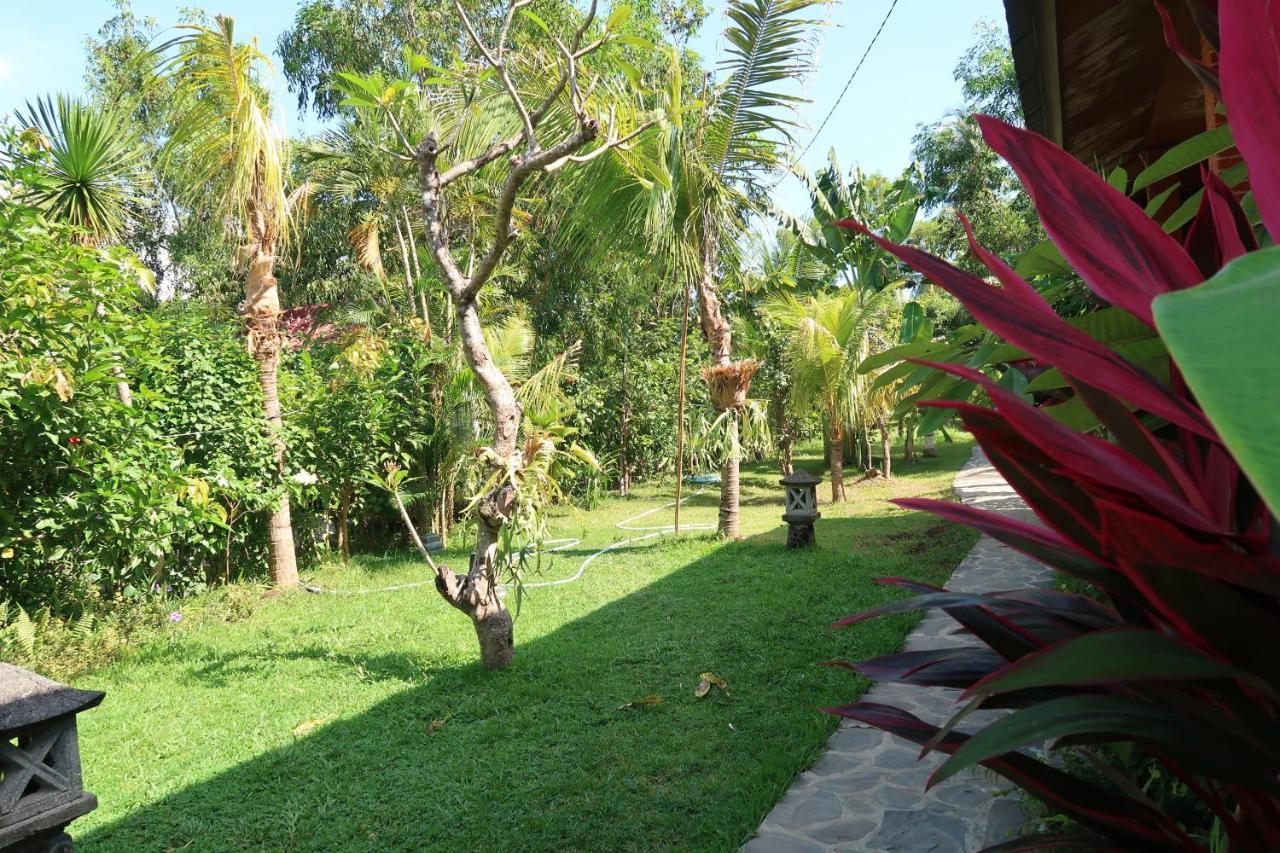 Aditya Villa Tejakula