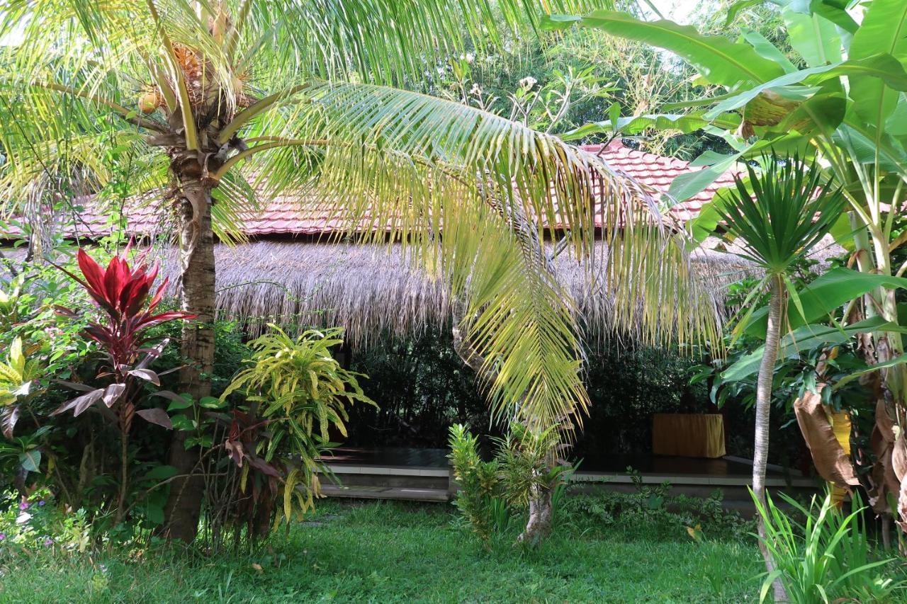 Aditya Villa Tejakula