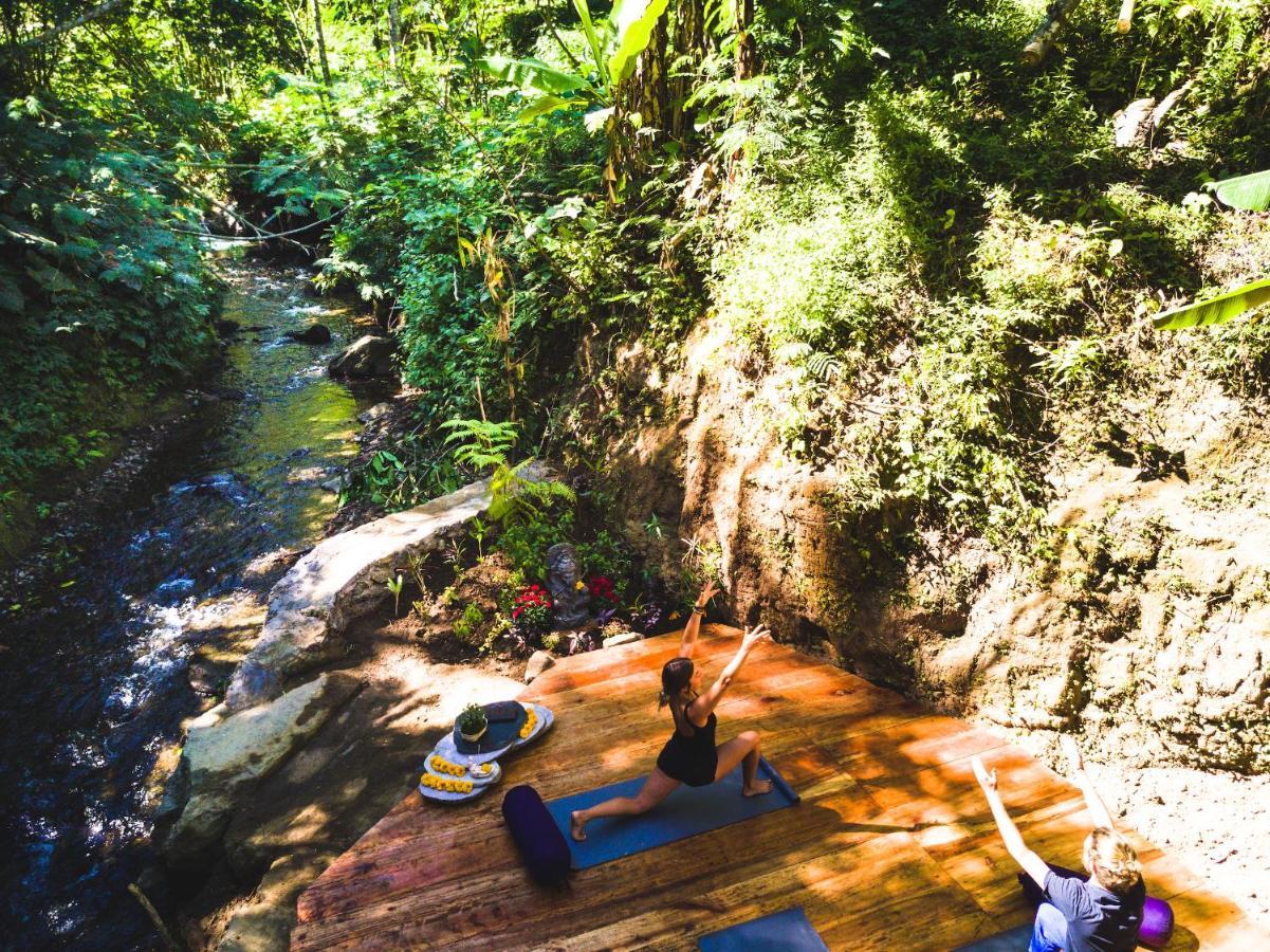 Desa Eko 3* Munduk (Bali)