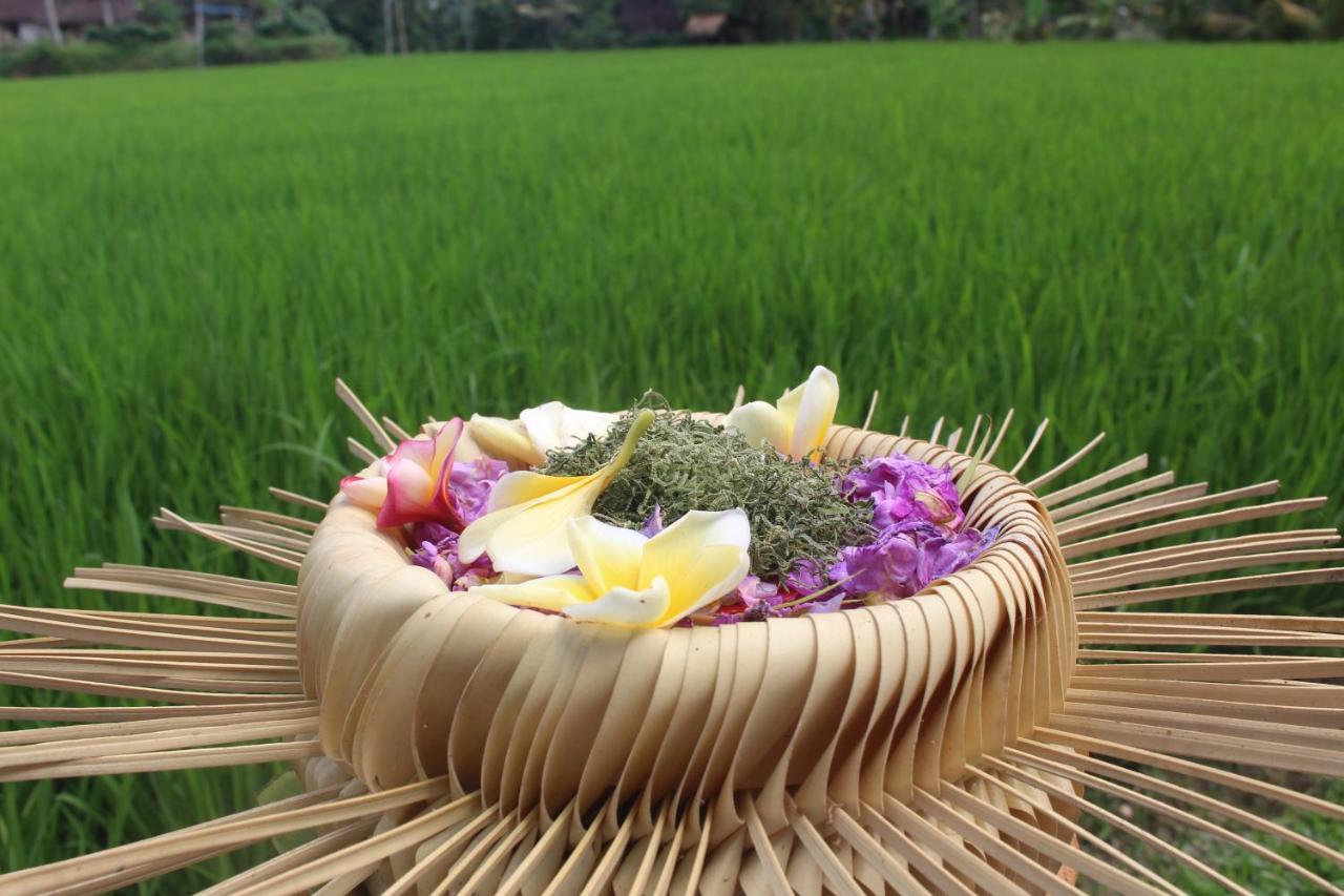 Keliki Luxury Ubud (Bali)