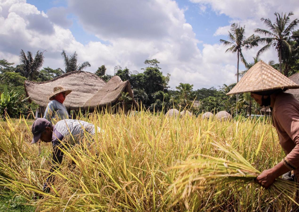 Keliki Luxury Hotel Ubud (Bali)