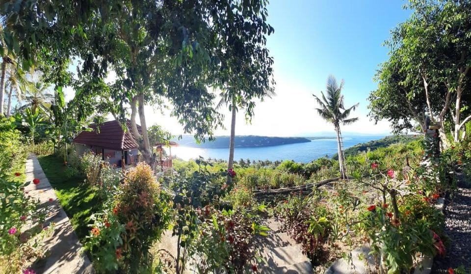 Gamat Garden Toyapakeh