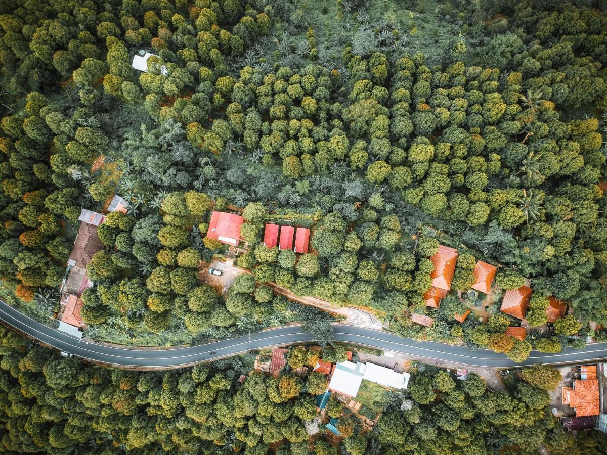 Clove Farm stay Munduk (Bali)