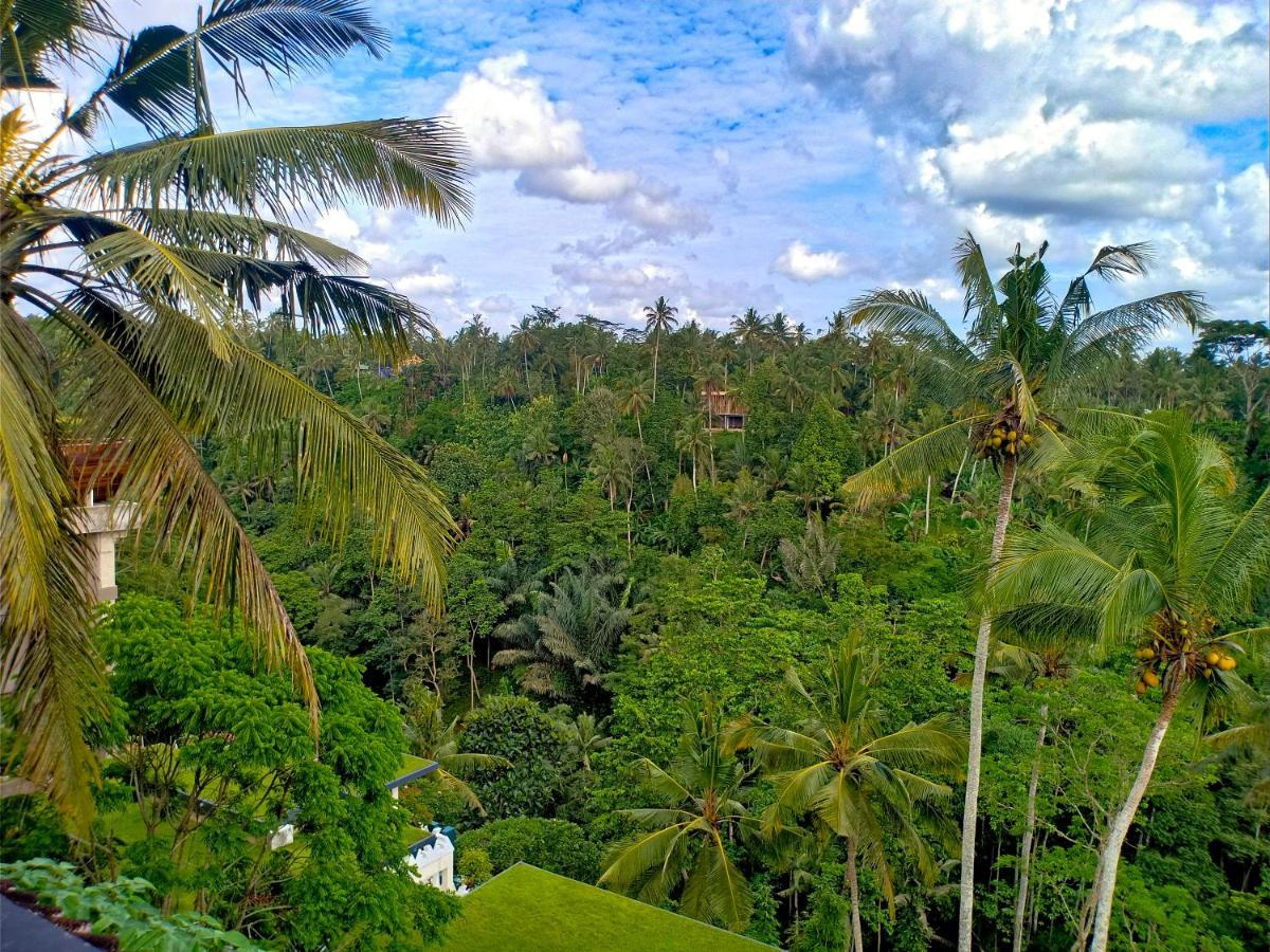 Homestay Made Punia's Jungle Ubud (Bali)