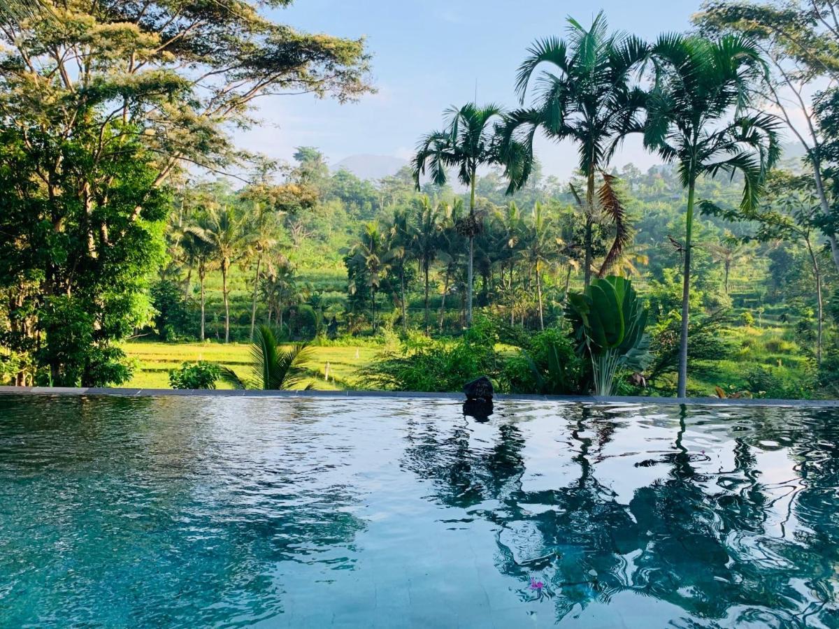 Guest house Surya Shanti Sidemen 4*