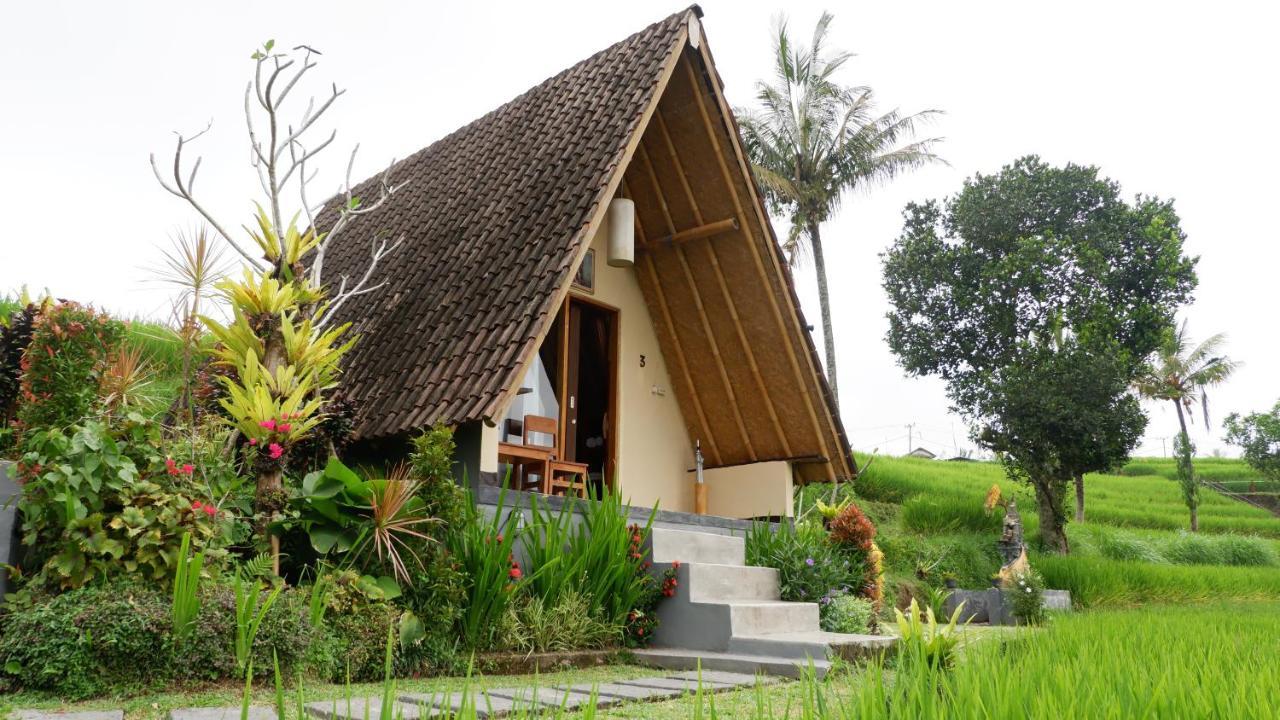 Lodge Padi Bali Jatiluwih Tabanan (Bali)