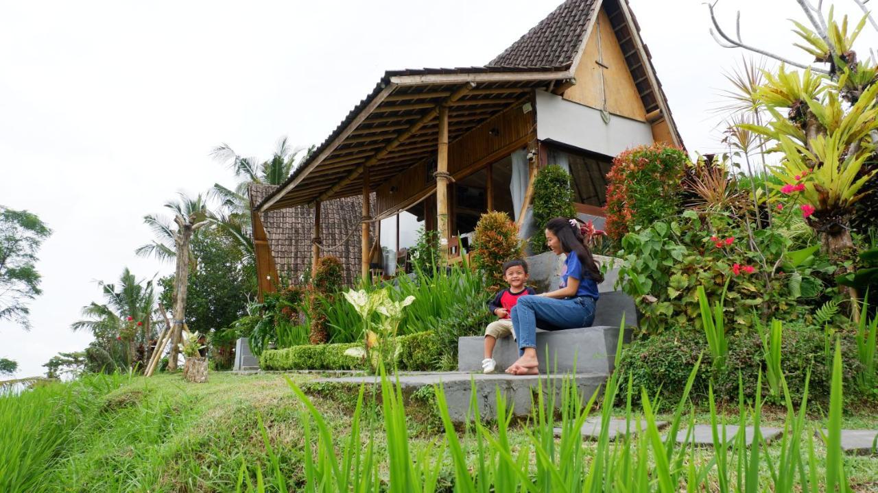 Padi Bali Jatiluwih *
