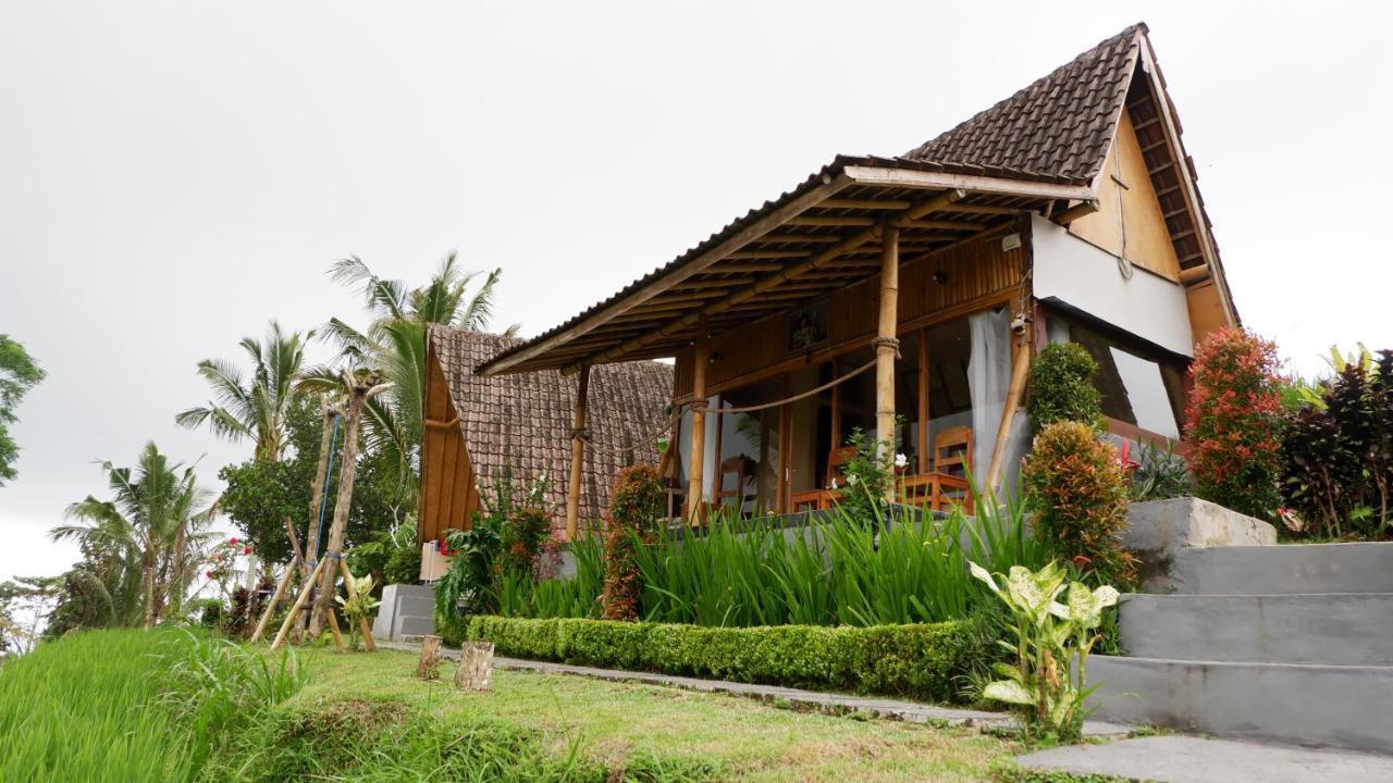 Padi Bali Jatiluwih