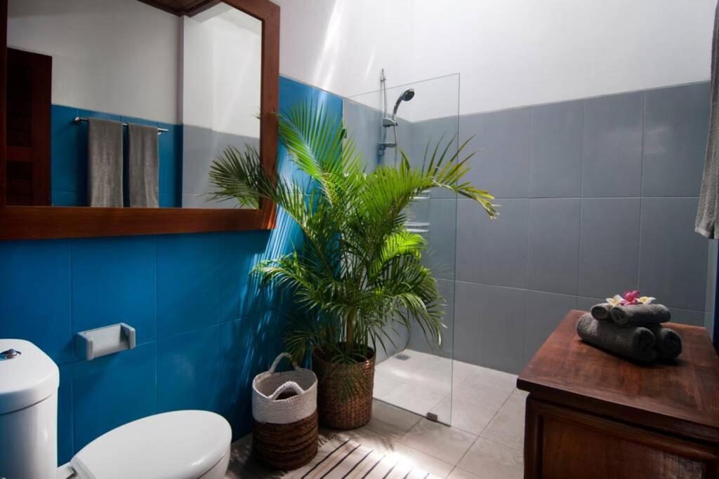 2br Violetta - Minggu * Kerobokan (Bali)