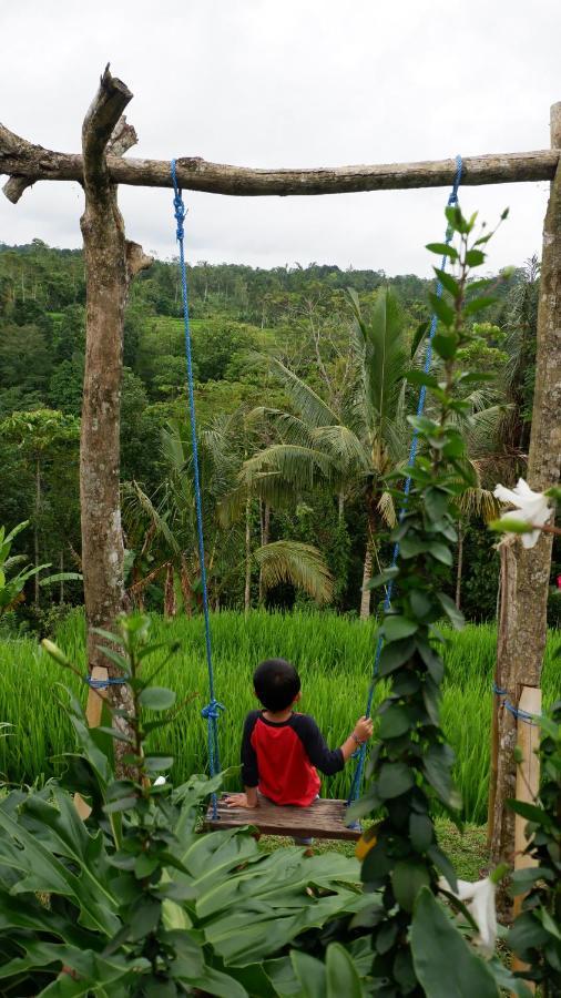 Padi Bali Jatiluwih Lodge