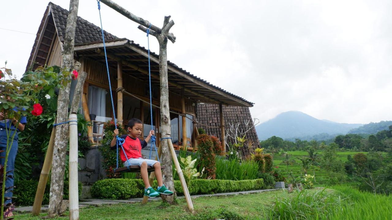 Padi Bali Jatiluwih * Tabanan (Bali)