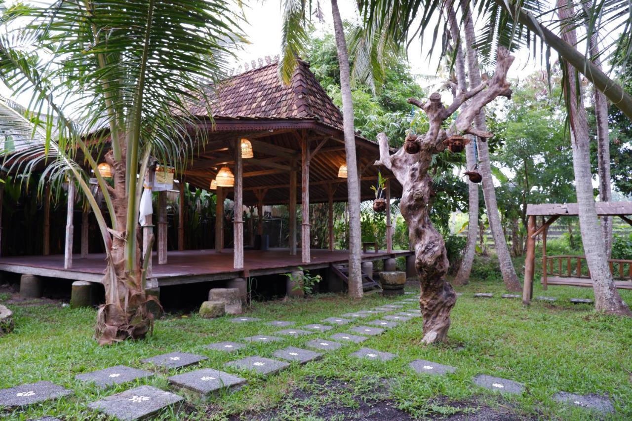 Guest house Kubudiuma Bali
