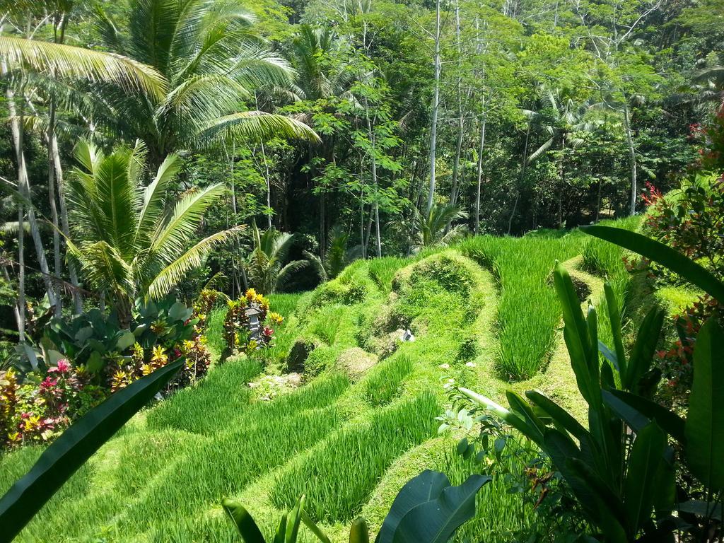 Amrita Villa Ubud (Bali)