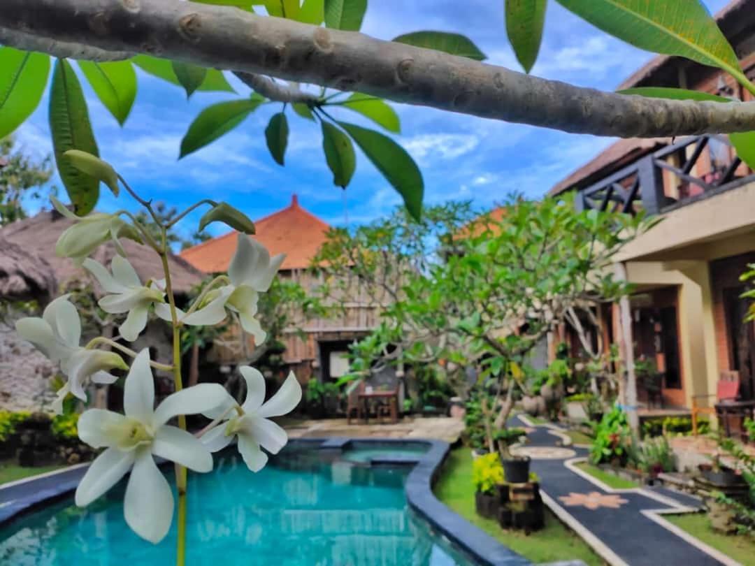 Guest house Satria 2*
